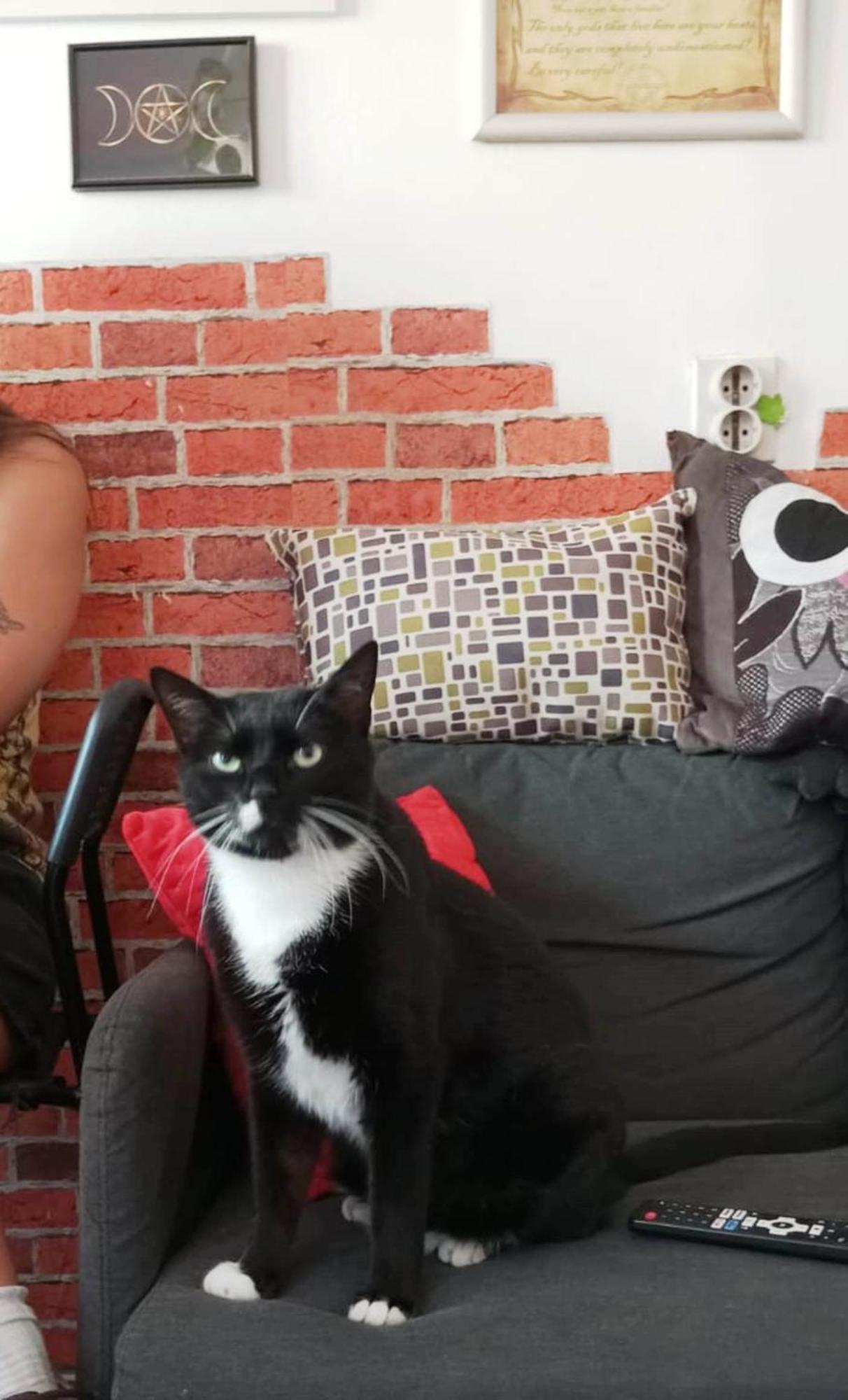 Hostel El Diablo Beograd Eksteriør bilde